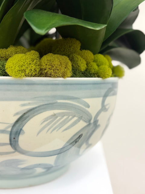 Custom White Phalaenopsis Orchid Arrangement in Asian-Inspired Ceramic Bowl