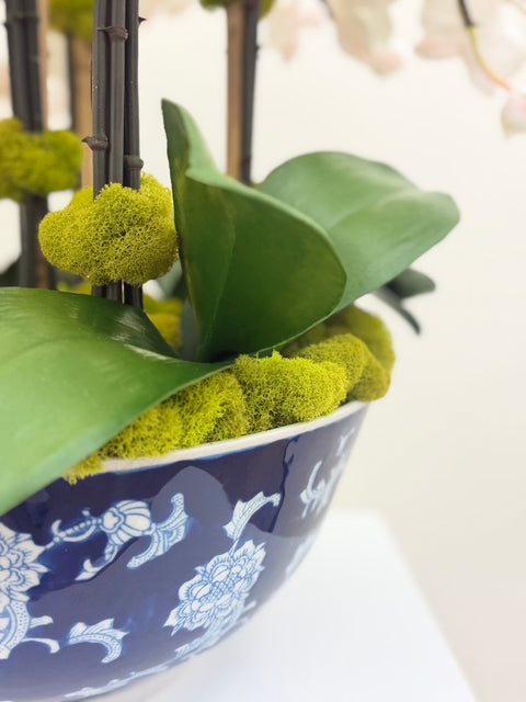 Custom White Phalaenopsis Orchid Arrangement in Blue Chinoiserie Bowl
