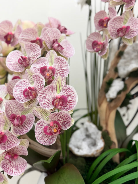 Luxury White & Pink Phalaenopsis Orchid Arrangement with Natural Wood & Crystal Accents
