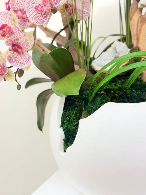 Luxury White & Pink Phalaenopsis Orchid Arrangement with Natural Wood & Crystal Accents