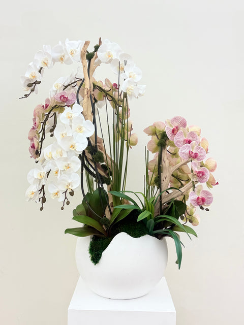 Luxury White & Pink Phalaenopsis Orchid Arrangement with Natural Wood & Crystal Accents