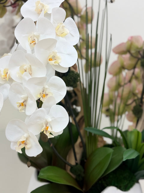 Luxury White & Pink Phalaenopsis Orchid Arrangement with Natural Wood & Crystal Accents