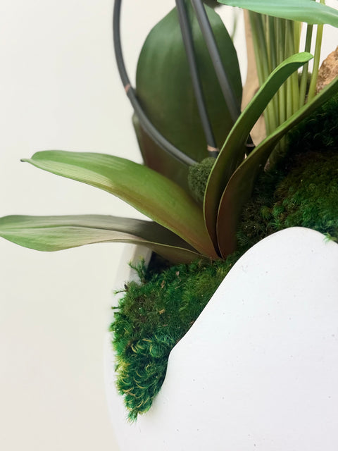 Luxury White & Pink Phalaenopsis Orchid Arrangement with Natural Wood & Crystal Accents