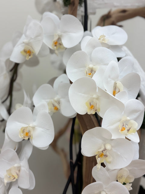 Luxury Selenite Orchid Arrangement – White & Pink