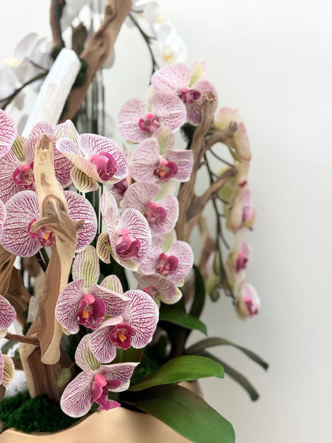 Luxury Selenite Orchid Arrangement – White & Pink