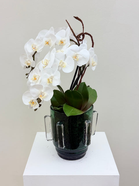 White Phalaenopsis Orchid Arrangement – Glass Vase