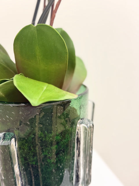White Phalaenopsis Orchid Arrangement – Glass Vase