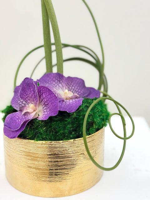Modern Allium & Vanda Arrangement – Gold Bowl